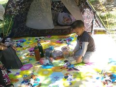 -永定河休闲森林公园