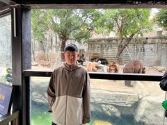 -灵玲国际马戏城