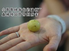 -微饮cafe