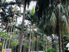 -北海市海滨公园