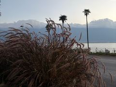 -大理洱海