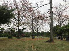 -南宁南湖公园