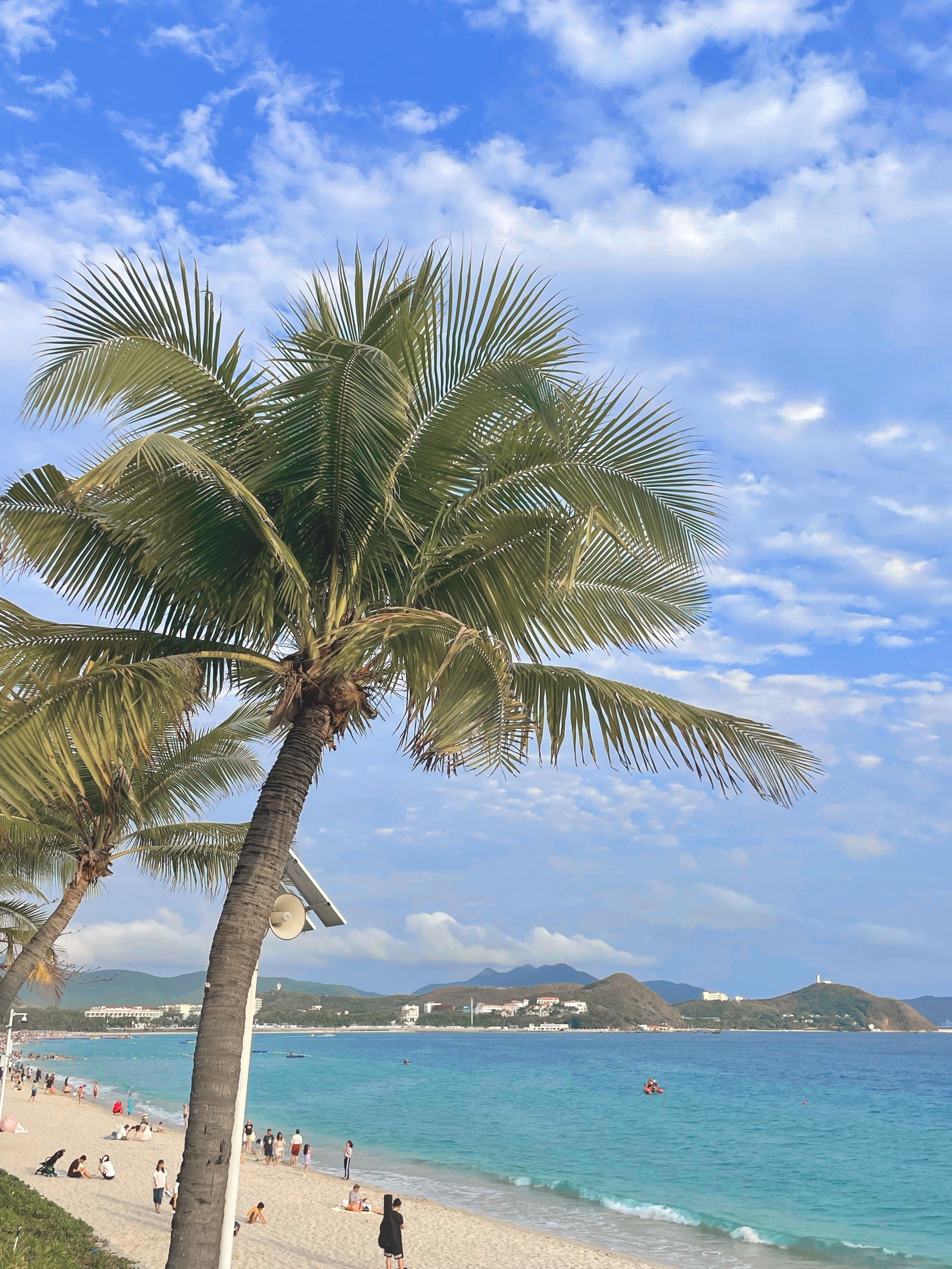 现在的大东海,比印象里清澈了好多!