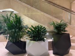 -皇家月府月子中心(沈阳店)