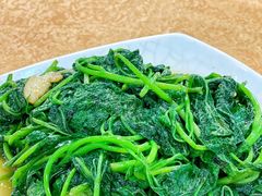 番薯叶-揭阳钟记小食(福田新村店)