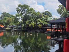 -侨美·唐荔园·40年地道粤菜