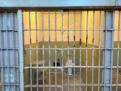 -阿尔卡特拉斯岛