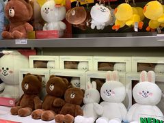 -line friends(明洞旗舰店)