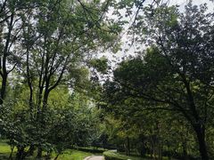 -重庆彩云湖湿地公园