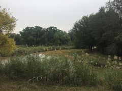 -北京麋鹿生态实验中心
