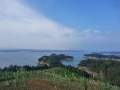 -丹水桥地锅鱼·翘嘴鲌·地方特色全鱼宴(丹江口大坝店)