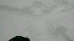 -大秃顶子山