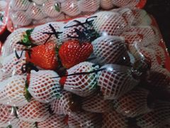 -菜园坝水果市场