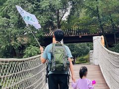 -铁山坪森林公园