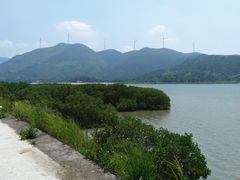 -盐洲岛