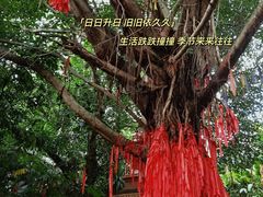 -曼听御花园