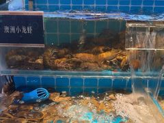 -渔纬港海鲜自助餐厅(湖里万达店)
