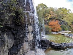 -上海吴淞炮台湾国家湿地公园