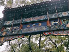 -北京国子监胡同