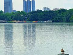 -海珠湖公园