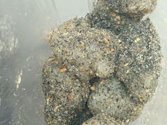 -叶氏麻糍(鼓浪屿店)