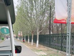 -永定河休闲森林公园