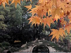 -绮园景区