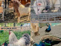 -水上乐园·欢乐世界