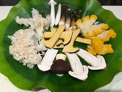 菌菇拼盘-钢管厂五区小郡肝串串香火锅(梅川路店)
