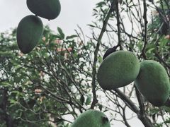 -厦门日月谷温泉渡假村