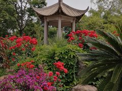 -老龙头景区