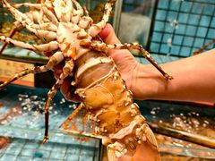 -港澳德兴火锅海鲜酒家(殷皇子店)