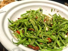 -鸽子窝(青塔店)