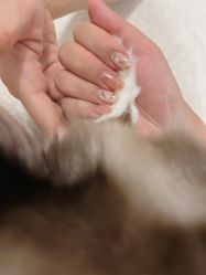 -手艺人不办卡美甲美睫