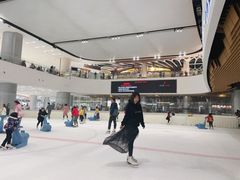 -TheRink大零溜冰场(IFS国金中心店)