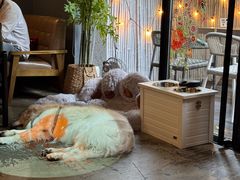 -咖法森林·咖啡  酒吧(天河店)