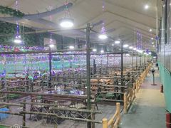 -兴芮温泉度假区