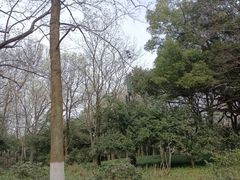 -杭州植物园