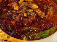 双椒鳝鱼-红辣椒·川菜·火锅(张杨路店)