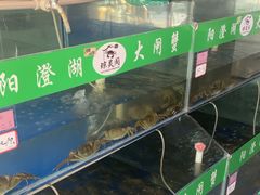 -阳澄湖大闸蟹·琼灵阁牌品牌连锁(吴中总店)