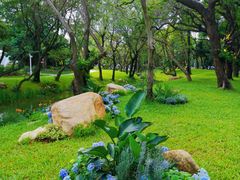 -人民公园(罗湖区)