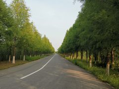 -泗洪洪泽湖湿地景区