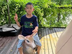 -黄海国家森林公园