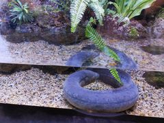 -上海海洋水族馆