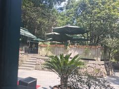-龙井壹号·茶缘山景宴(龙井村店)