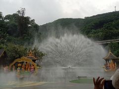 -西双版纳原始森林公园