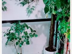 -茶油香闽南菜·花园餐厅(前埔店)