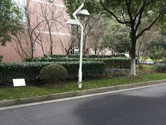 -上海市实验学校