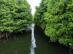 -厦门园林博览苑