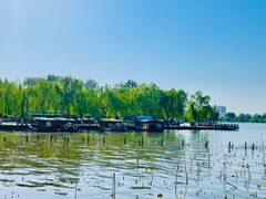 -济南大明湖景区